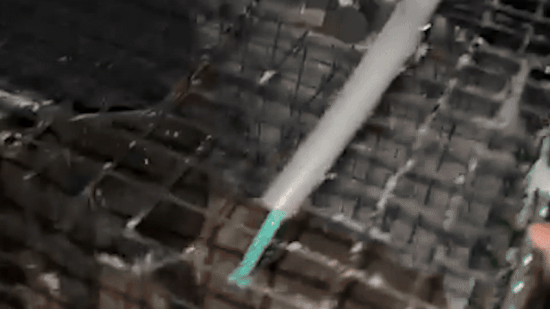 지난해 11월 말 눈이 펑펑 쏟아진 인천의 산골 마을에서 몇시간의 잠복 끝에 포획에 성공한 잉크의 구조 당시 모습. 동물구조단체 위액트 제공