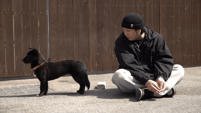 지난 3월 26일 위액트더홈에서 첫 대면한 준혁씨와 잉크. 잉크는 낯선 사람이 아직 무서운 강아지라 이름을 부르자 도망갔다. 최민석 기자