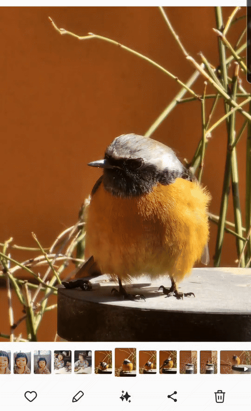 갤럭시 S25 엣지의 AI 지우개로&nbsp;사진 속 딱새를 지우는 모습.&nbsp; &nbsp; 이동수 기자