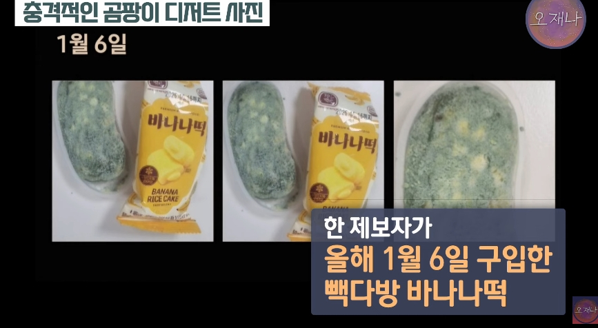 채널다방 이미지