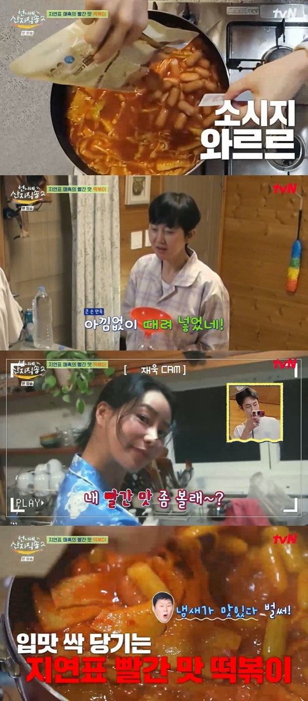 언니네 이미지