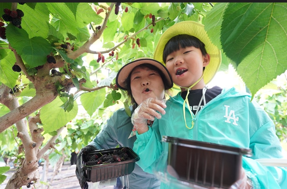 오디 이미지
