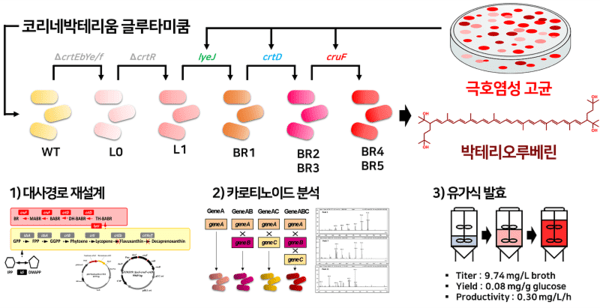 페락스 이미지