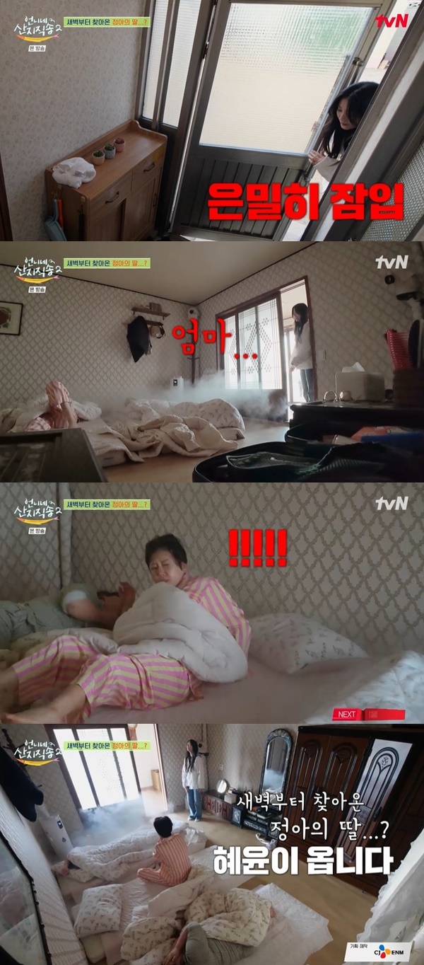 언니네 이미지