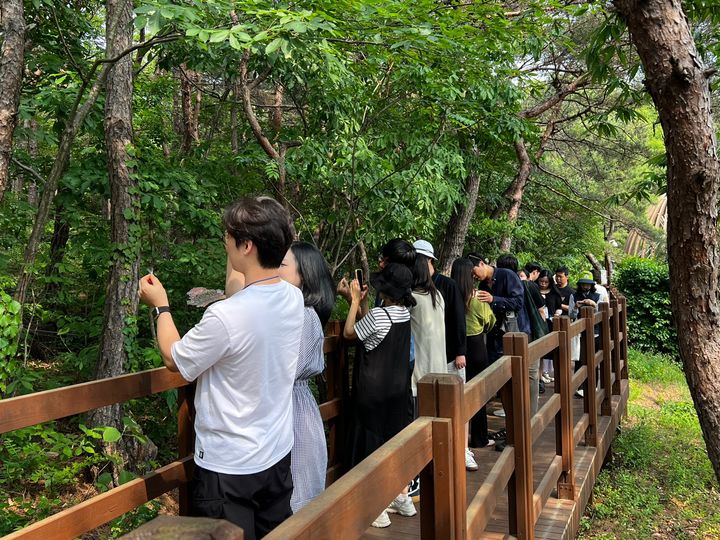 숲 이미지