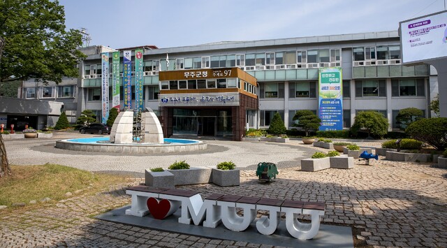반딧 이미지