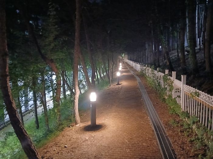 수지 이미지