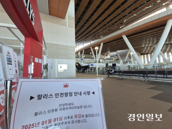 카페리 이미지
