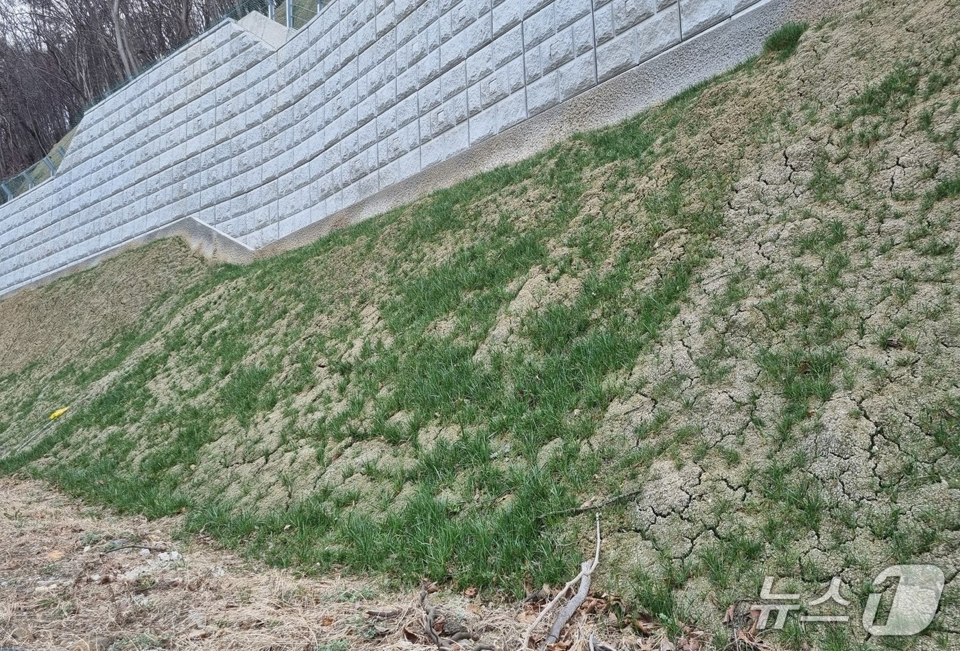 푸른환경개발 이미지