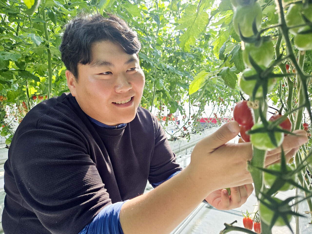 동천안농업협동조합로컬푸드직매장 이미지