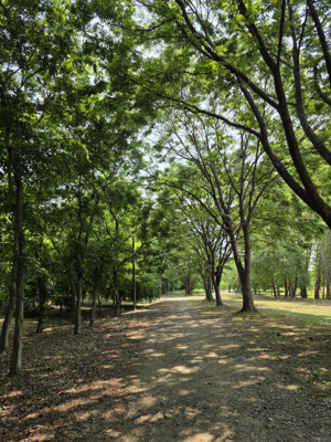한국체육산업개발주 이미지