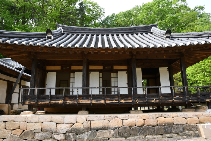 삼산 이미지