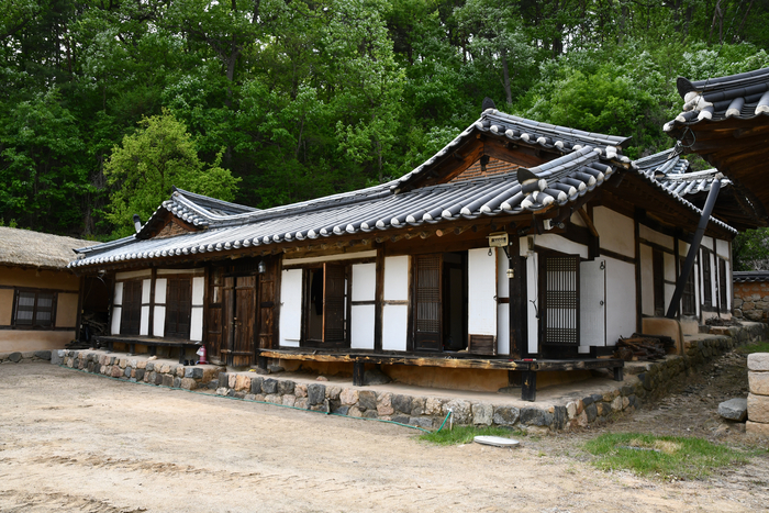삼산 이미지