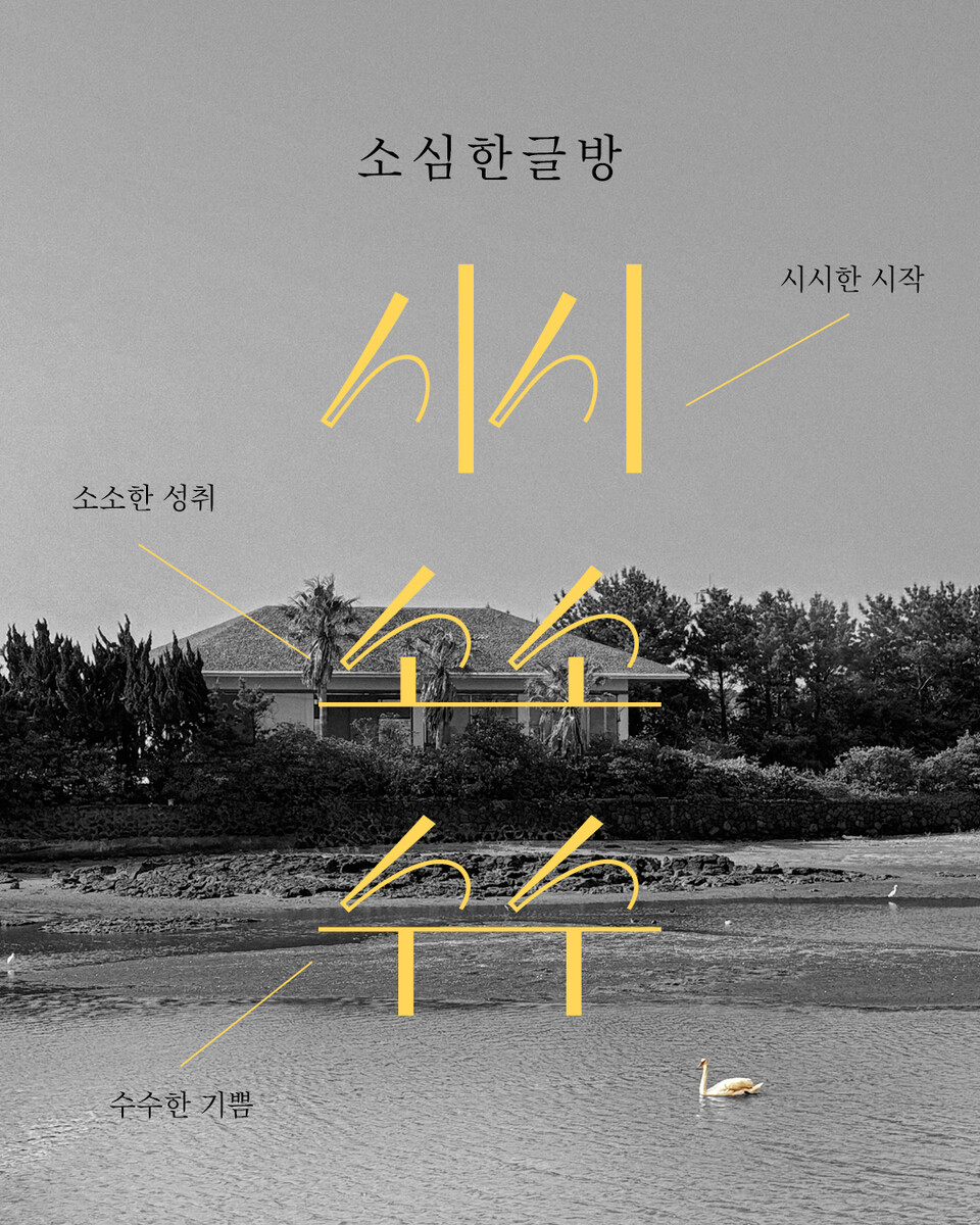 책방 이미지