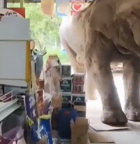 출처=소셜미디어 엑스