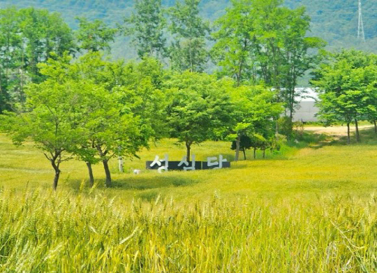 밀밭베이커리 이미지