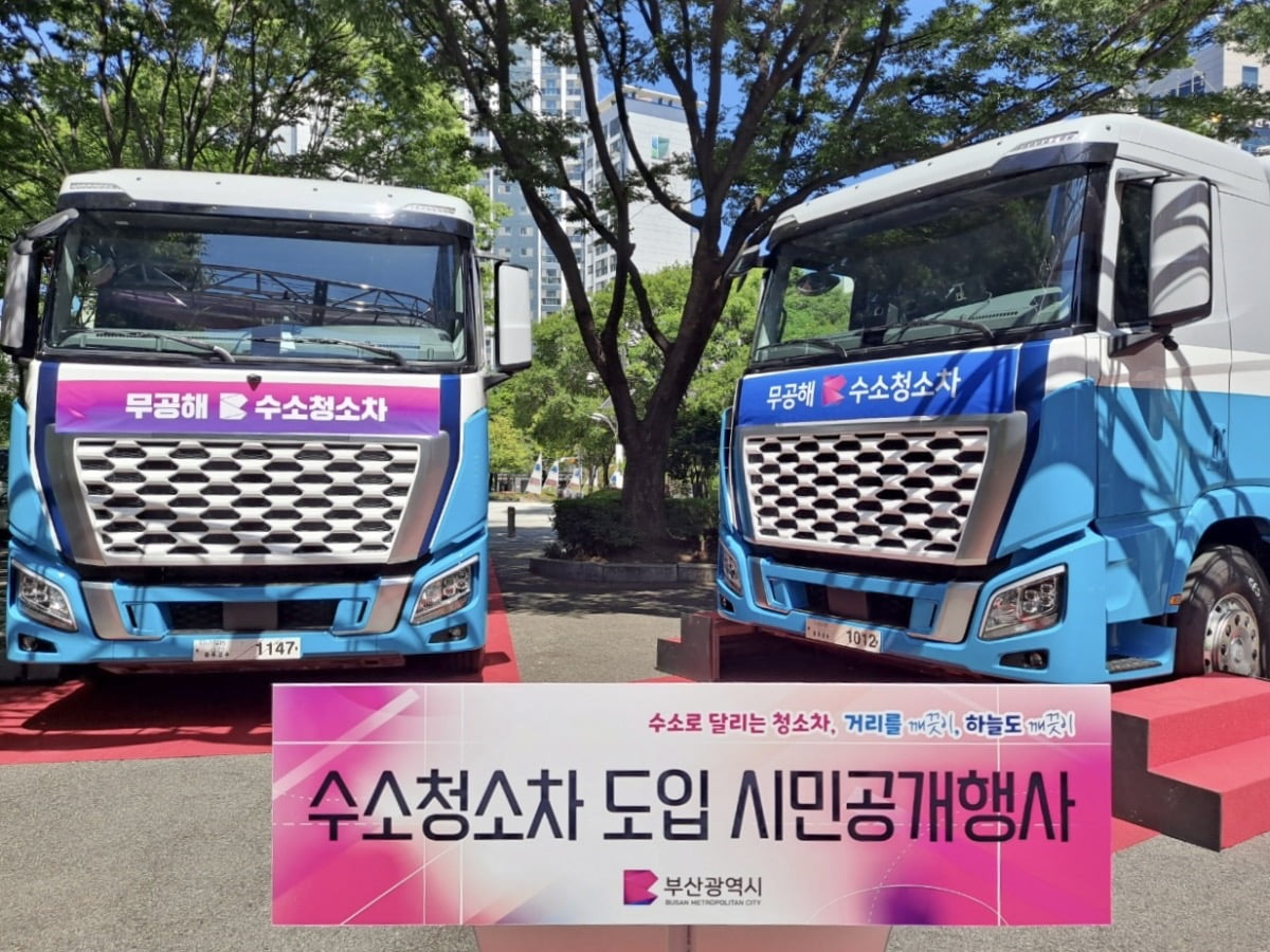 차랑 이미지