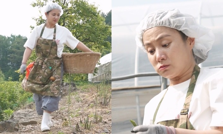 지리산시골집 이미지