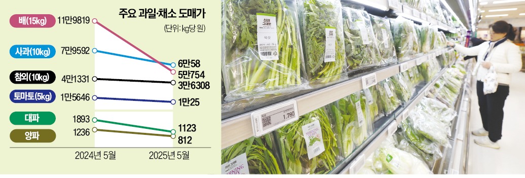 채소;과일 이미지