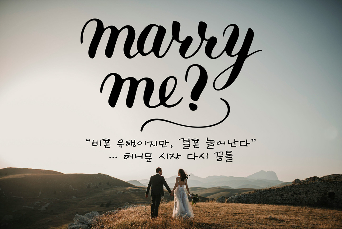 여행전문가 이미지