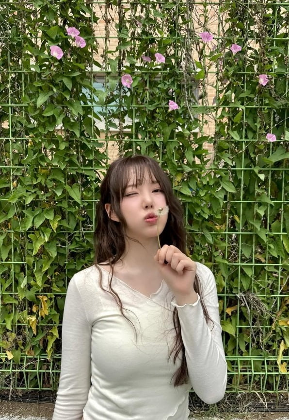 피어난 헤어 이미지