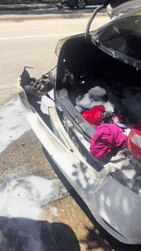 ⓒ'X' 영상 갈무리