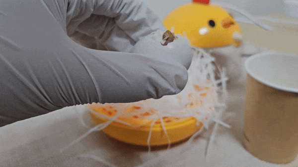 더불어민주당 김윤 의원실 제공