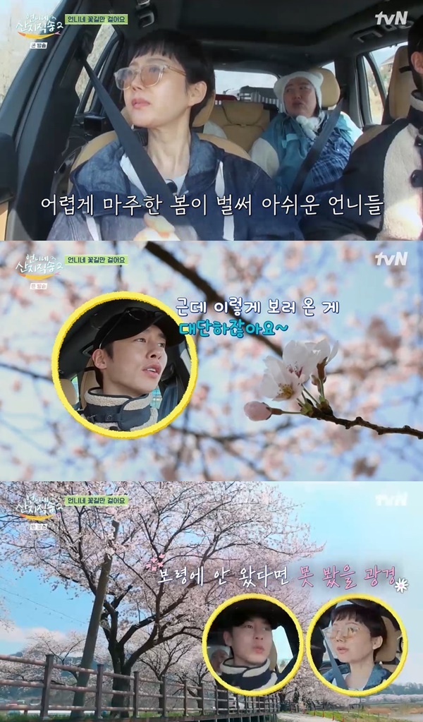 언니네 이미지