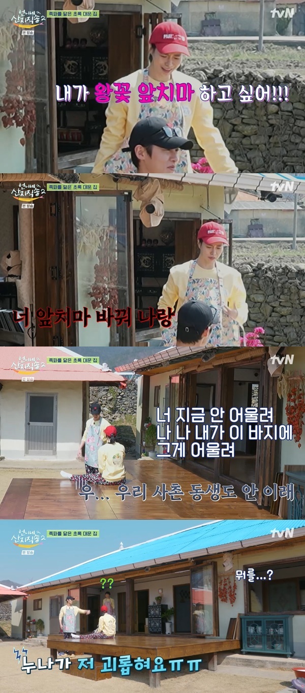 언니네 이미지
