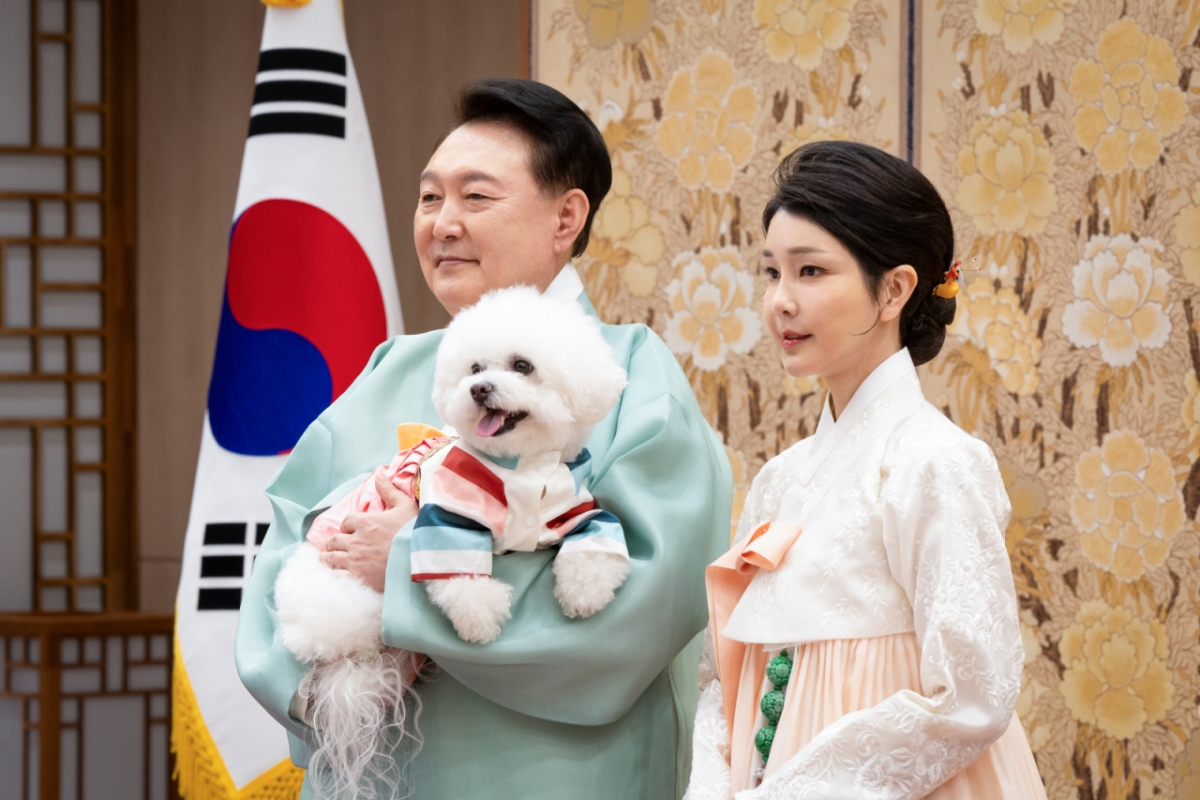 228 이미지