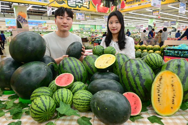 수박 이미지