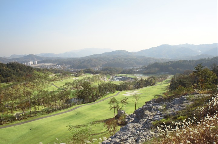 락만도 이미지