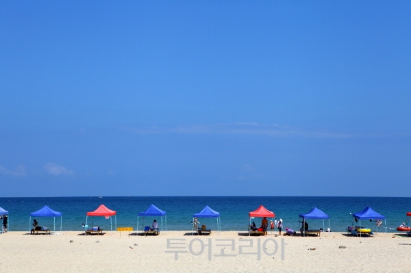 바다풍경관광농원 이미지