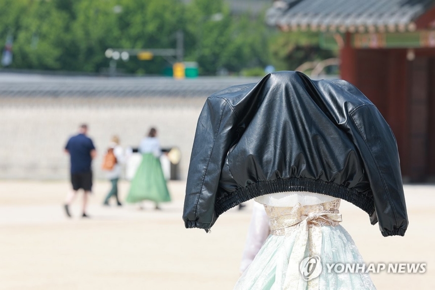 쨍 이미지