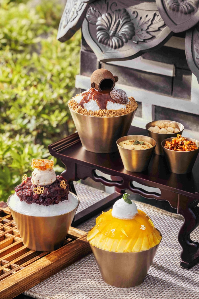 세트리다 이미지