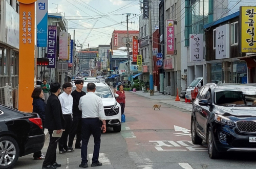 홍천대한건재 이미지