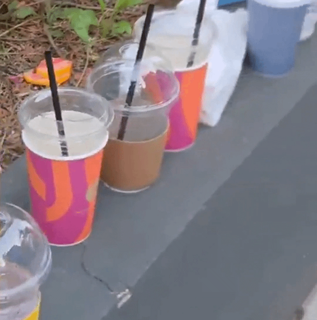 지난달 엑스(X·옛 트위터)에 '성수의 휴일'이라는 내용과 함께 게시된 영상. /영상=엑스 캡처