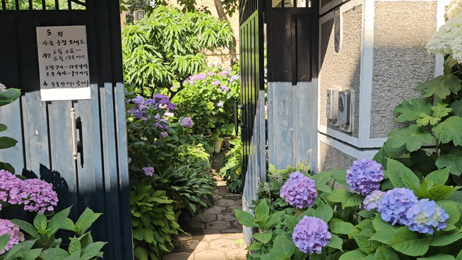 영상=유지희 기자