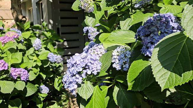 영상=유지희 기자