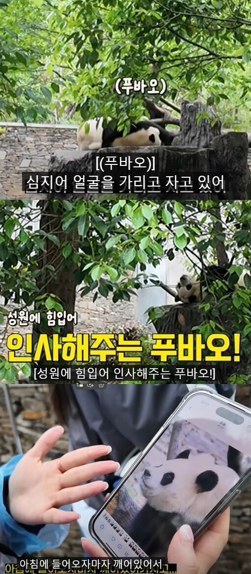 숙이언니 이미지