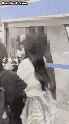 걸그룹 하츠투하츠 경호원이 공항에서 A 씨를 제압하는 영상. [SNS]