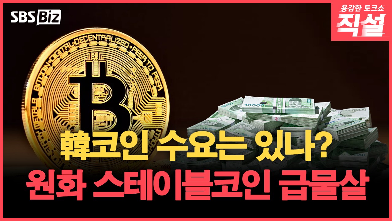 직설] 원화 스테이블코인 입법 시동…최대 관건은 발행주체