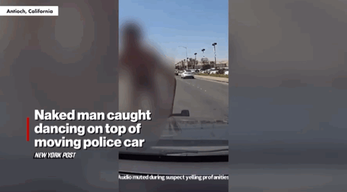 [뉴시스]캘리포니아의 한 남성이 경찰차 지붕에서 알몸으로 춤을 추다가 체포됐다. (사진=뉴욕포스트) *재판매 및 DB 금지