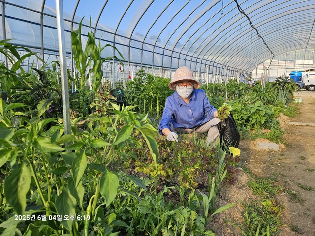 서울시니어스타워(주)고창웰파크시티 이미지