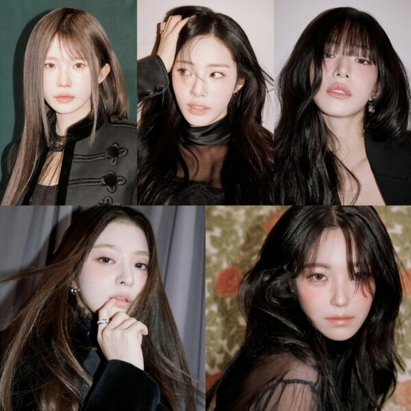 이미 이미지