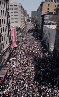 드론 촬영한 LA 집회. X 갈무리