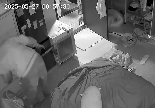 지난달 경북 안동시 용상동의 한 아파트에서 30대 남성이 20대 여성들의 집에 몰래 침입해 속옷을 뒤지는 모습. 피의자는 한 시간 동안 수 차례나 집을 드나들며 수상한 행동을 반복했다. 독자 제공