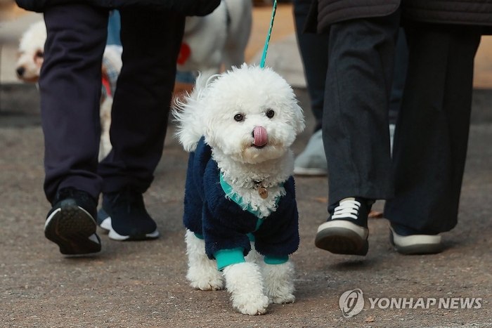 산책 이미지