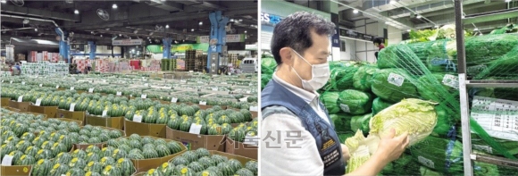 대성농산 이미지