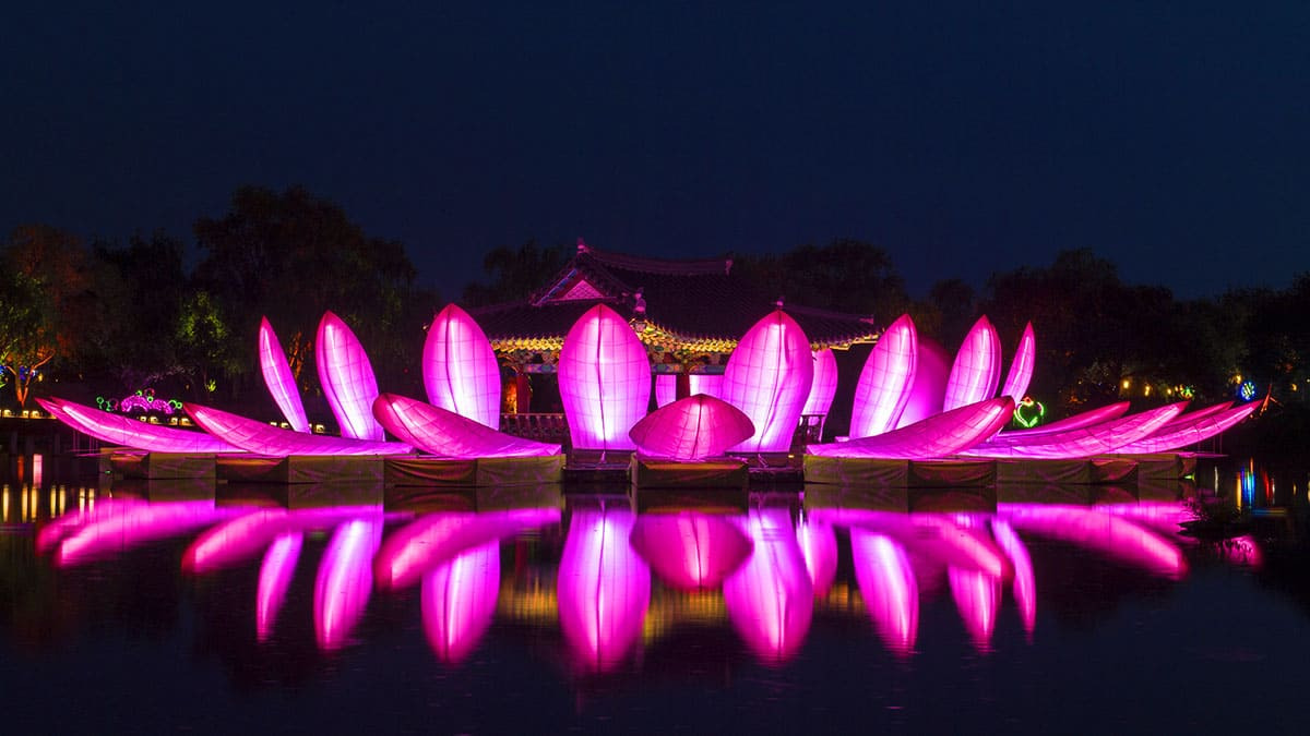 Buyeo Seodong Lotus Festival Night Scenery